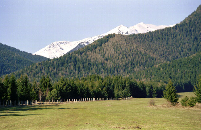 cestou do žiarskej doliny